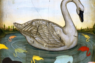 Swan Swan